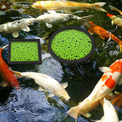 Yiyiring anillo flotante redondo de 11 cm para plantas, área fija