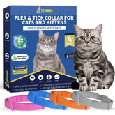Collar YOTANGO para gatos, control de pulgas, protección diaria.