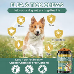 YOTANGO: perro masticando masticable suave y agradable