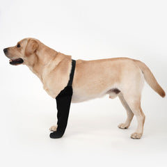 Calcetines de recuperación Yrenoer impermeables con suela antideslizante para proteger patas