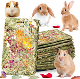 Juguetes-conejo-pack-10 de YTSKJ para entretenimiento seguro y masticación.