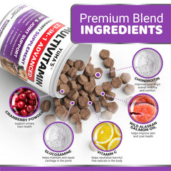 YUMA'S: probióticos para digestión y inmunidad de perros.