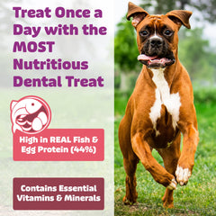 Yummy Combs: perro masticando, limpieza dental más efectiva.