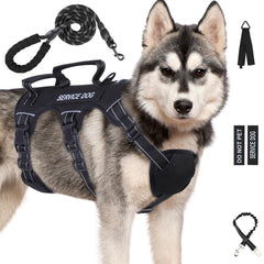 Arnés Yungaspy para perros, prueba de escape y seguridad en paseos.