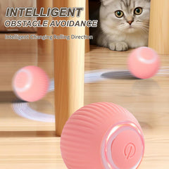 ZALBYUY Juguete para gatos rodante inteligente que estimula la curiosidad