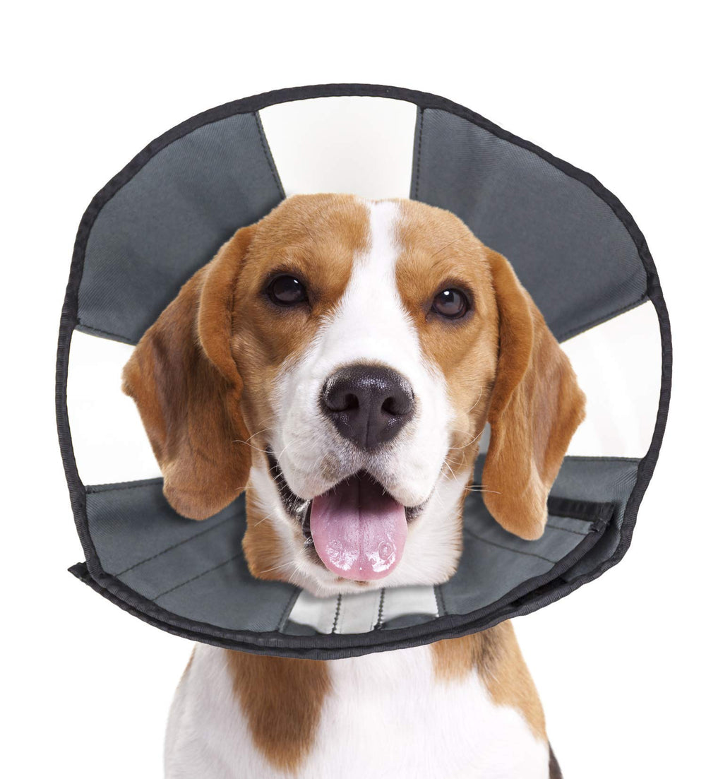 Cono ZenPet para gato con visibilidad clara y confort.