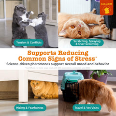 Difusor Zesty Paws en instalación de pared para calma continua.