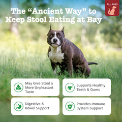 Zesty Paws No Poo Bites textura suave para masticar.