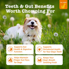 OraStix de Zesty Paws, mezcla dental para perros para mejorar la salud bucal.