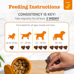 Zesty Paws Probióticos para cachorros: refuerza la inmunidad en crecimiento