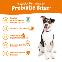 Zesty Paws Probiotics para perros, etiqueta DE111, promueve la función digestiva
