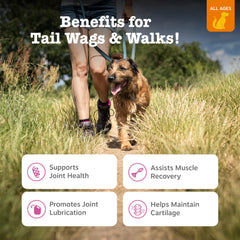 Zesty Paws sabor pato, masticables para movilidad canina