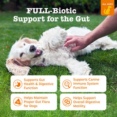 Pastillas masticables de Zesty Paws Vet Strength Probiotics para perros, sabor agradable.