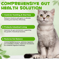 ZIXBMHYJ Probiotics para gatos: gotero para dosis precisas