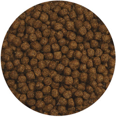 Zoo Med alimento tortugas acuáticas, fórmula de crecimiento para desarrollo saludable.
