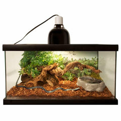 Zoo Med Repti Bark: hecho en EE. UU., sustrato seguro para reptiles.
