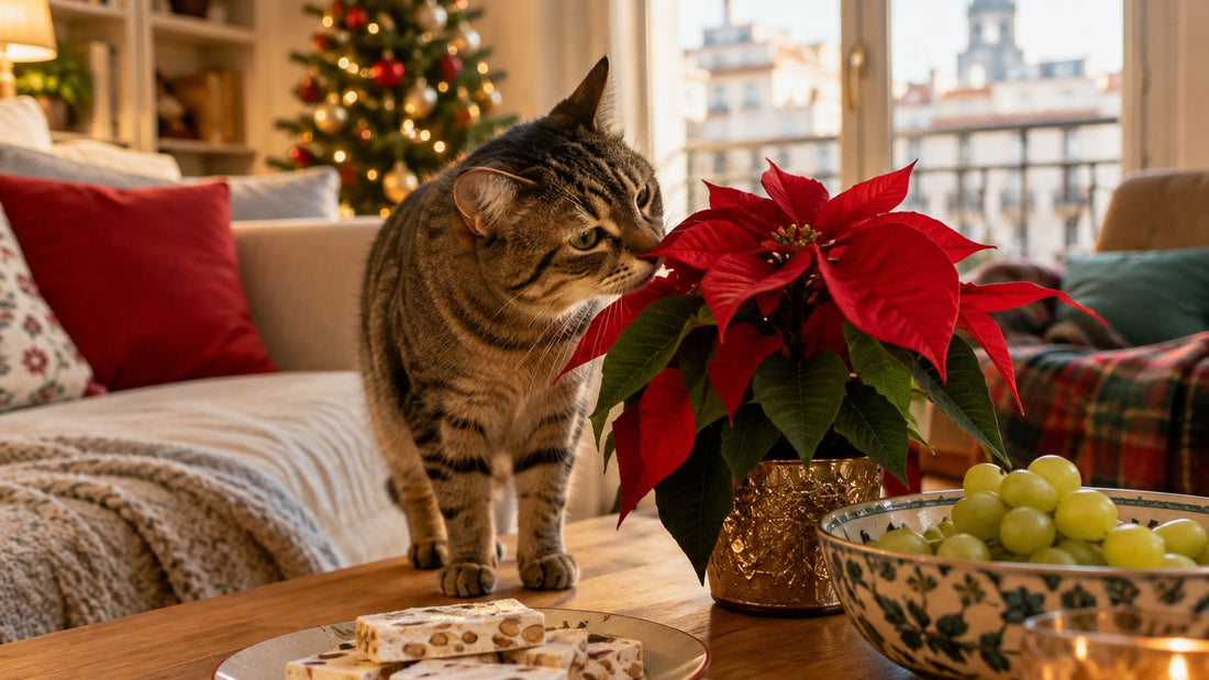Gato atigrado olfateando un centro de mesa navideño con flor de Pascua junto a una bandeja de turrón y uvas en un salón