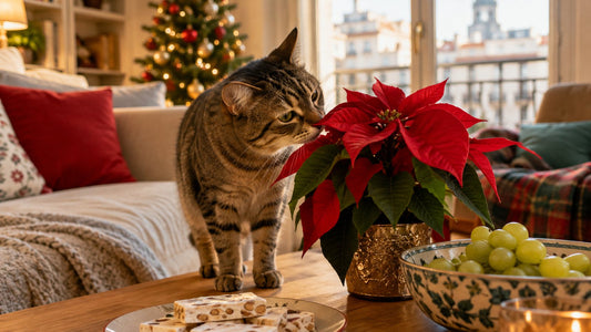 Gato atigrado olfateando un centro de mesa navideño con flor de Pascua junto a una bandeja de turrón y uvas en un salón