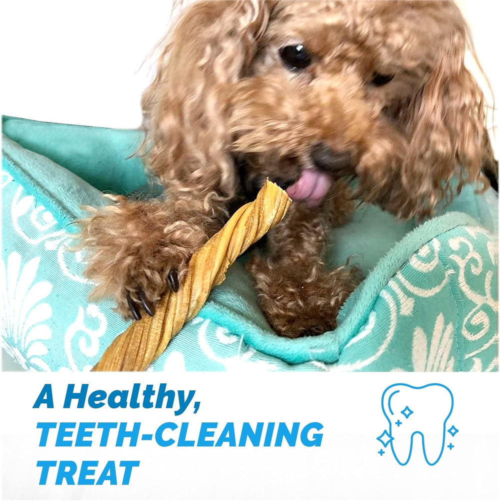 123 Treats masticables sin cuero crudo para perros.