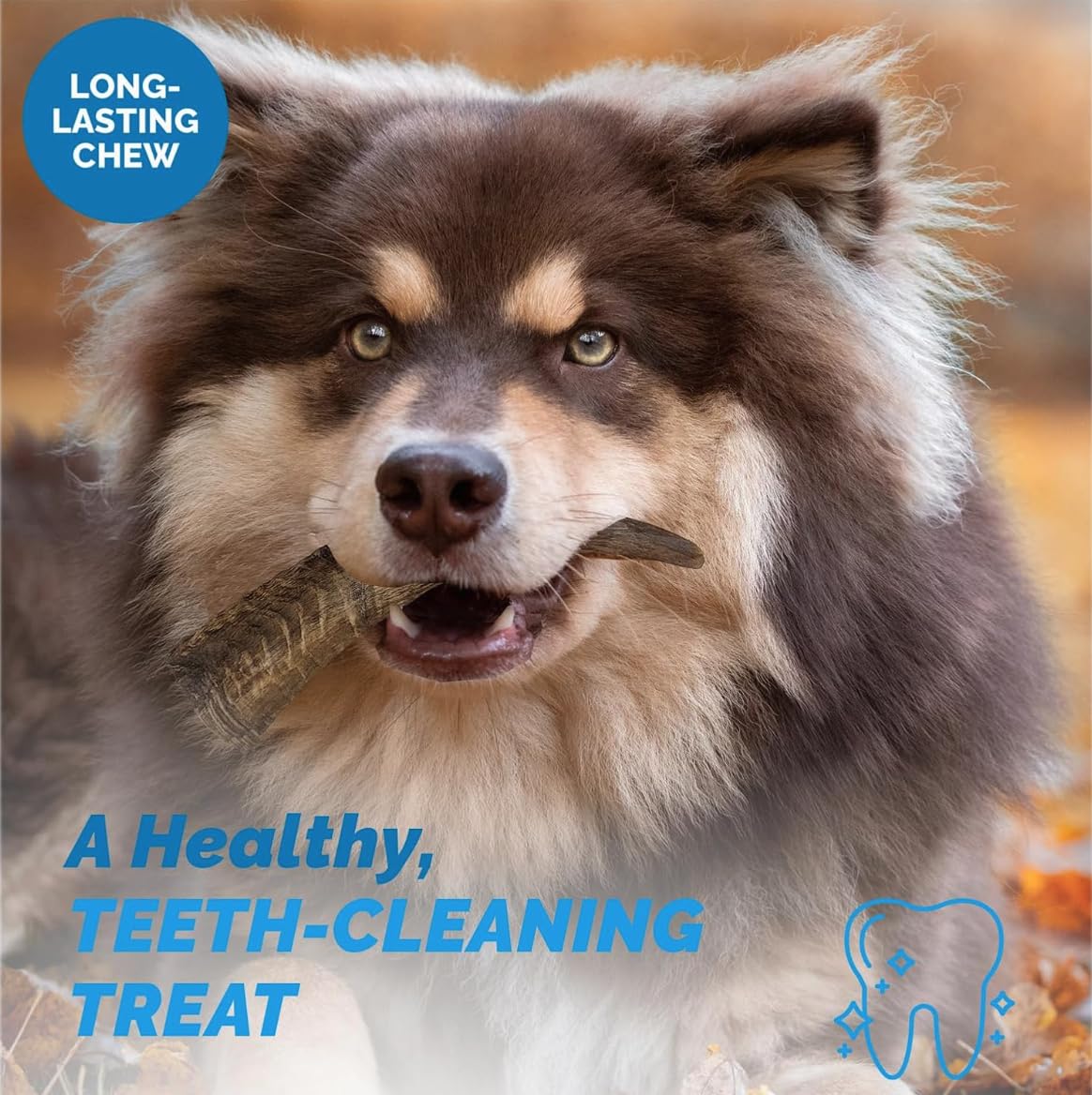 123 Treats apoyo dental para perros al masticar cuernos naturales.