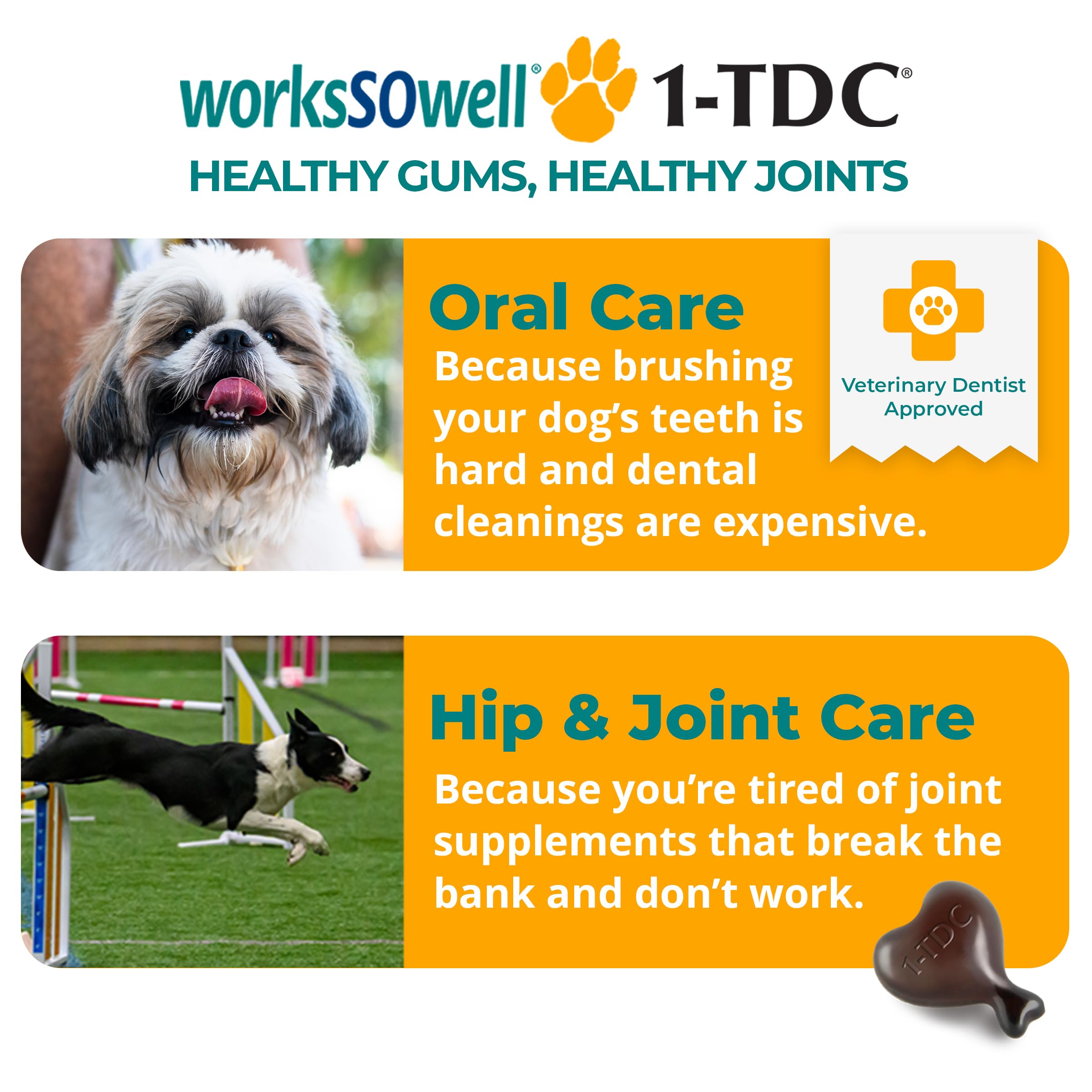 Cápsulas de 1TDC WorksSoWell para perros y gatos, apoyo a la movilidad diaria.