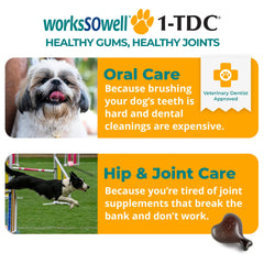 1-TDC WorksSoWell: etiqueta que resalta movilidad articular para mascotas