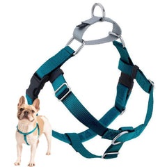 Arnés Freedom No Pull de 2 Hounds Design en Teal para paseos más cómodos.