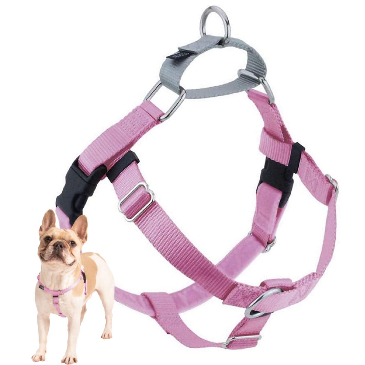 2 Hounds Design Arnés Libertad sin Tirones, vista frontal para paseos suaves
