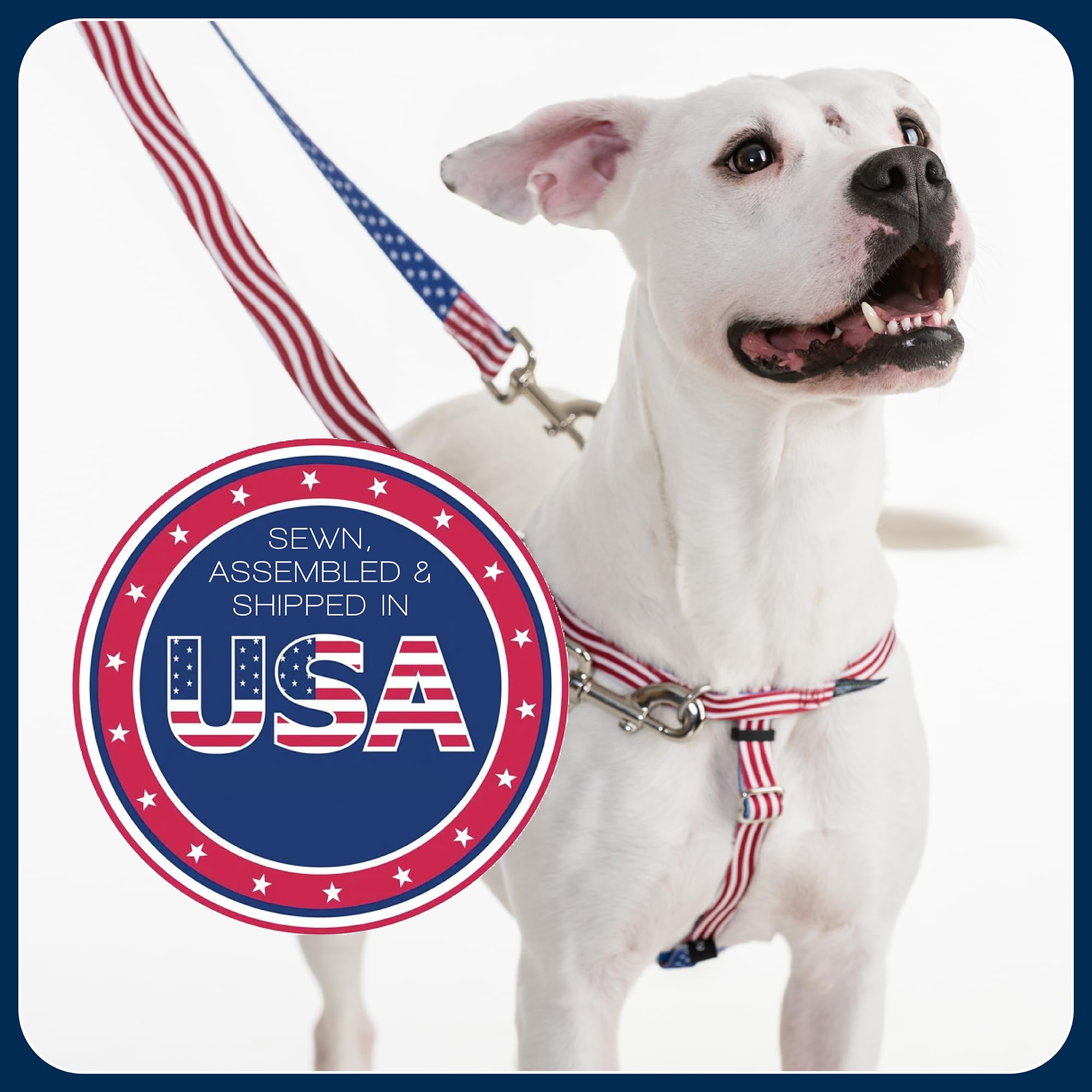2 Hounds Design Freedom en correa de nylon resistente para uso diario.