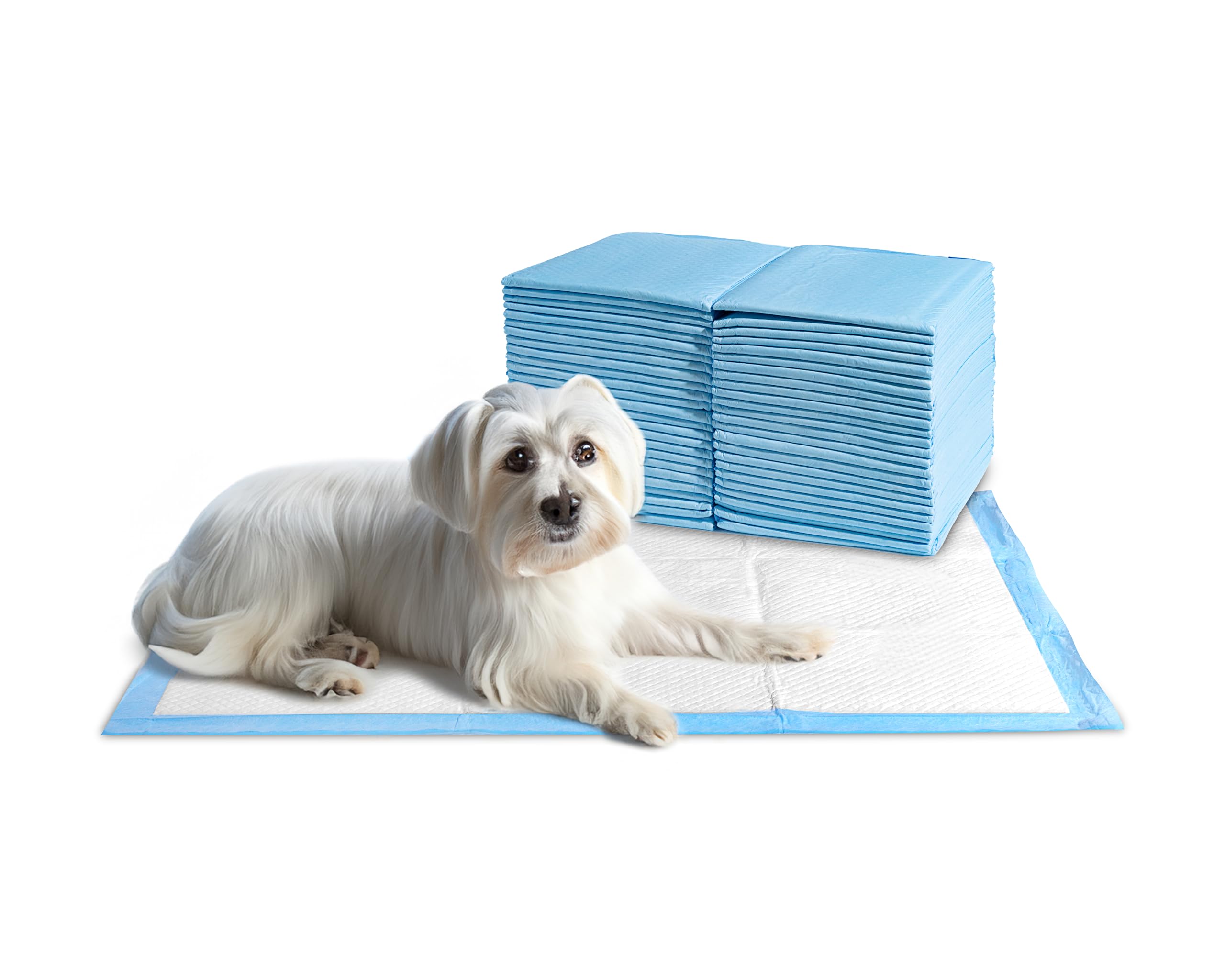 Absorción rápida para evitar derrames y mantener superficies limpias.