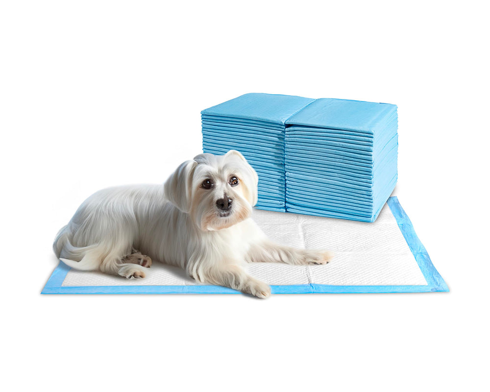Absorción rápida para evitar derrames y mantener superficies limpias.