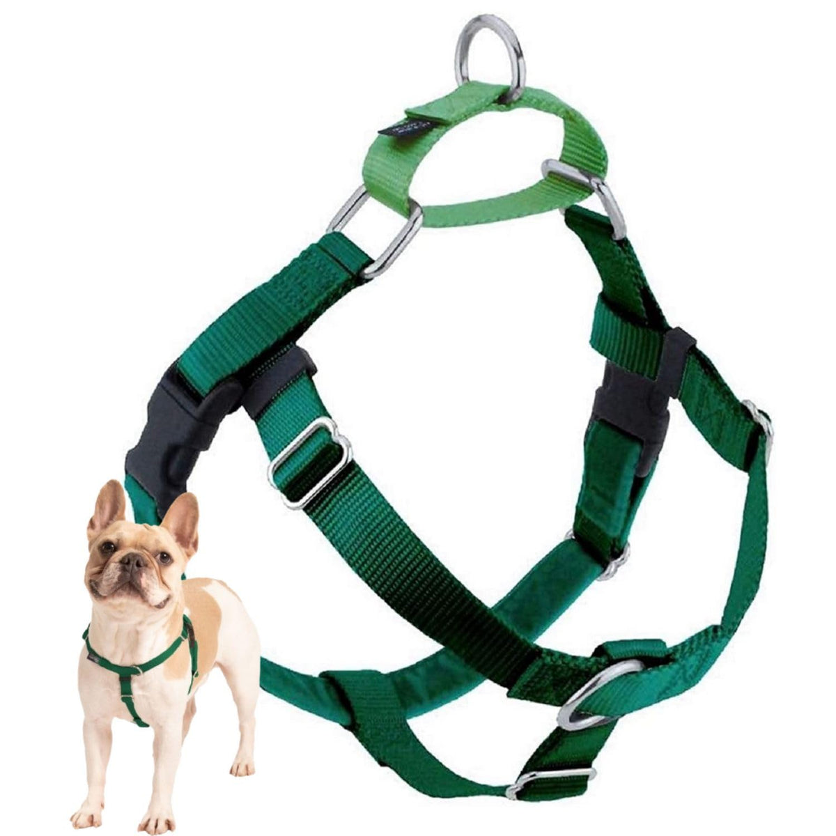 Arnés Freedom de 2 Hounds Design visto de frente, ideal para paseos sin tirar