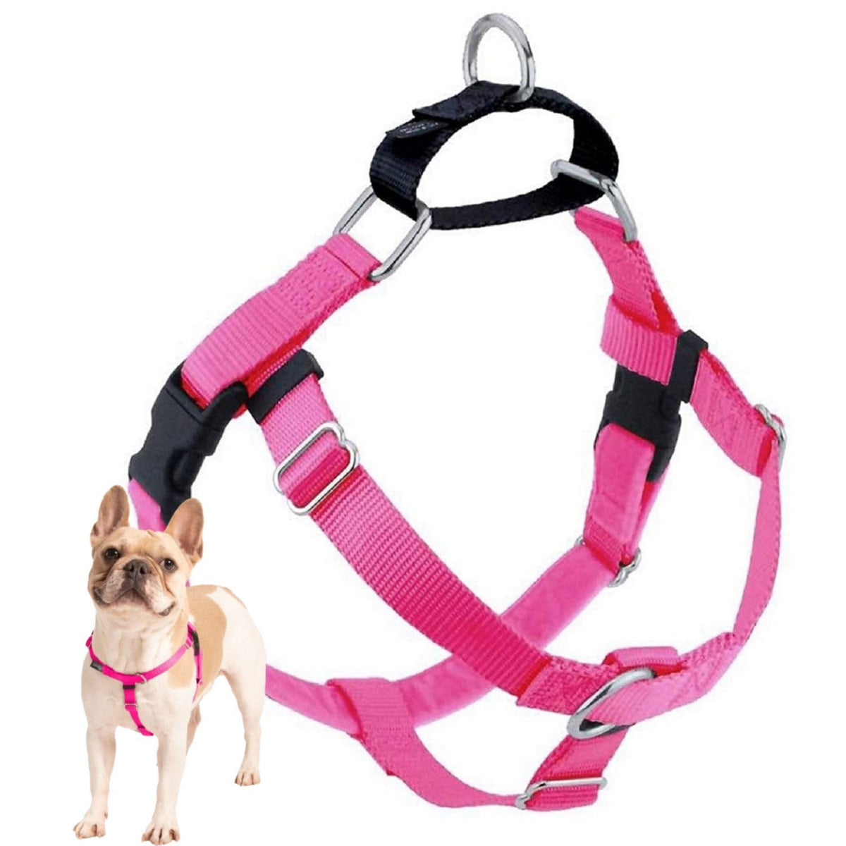 Arnés Freedom de 2 Hounds Design visto frontal con anillo delantero para control