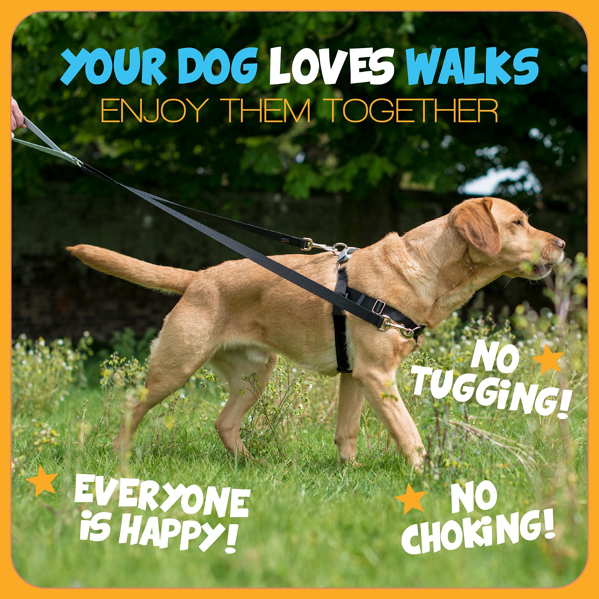 Herrajes de acero inoxidable en arnés resistente para perros activos.