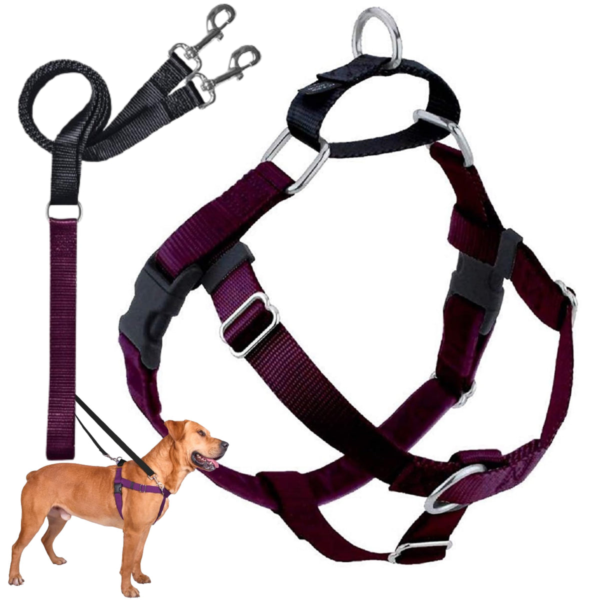 Arnés Freedom sin tirón de 2 Hounds Design para paseos controlados.
