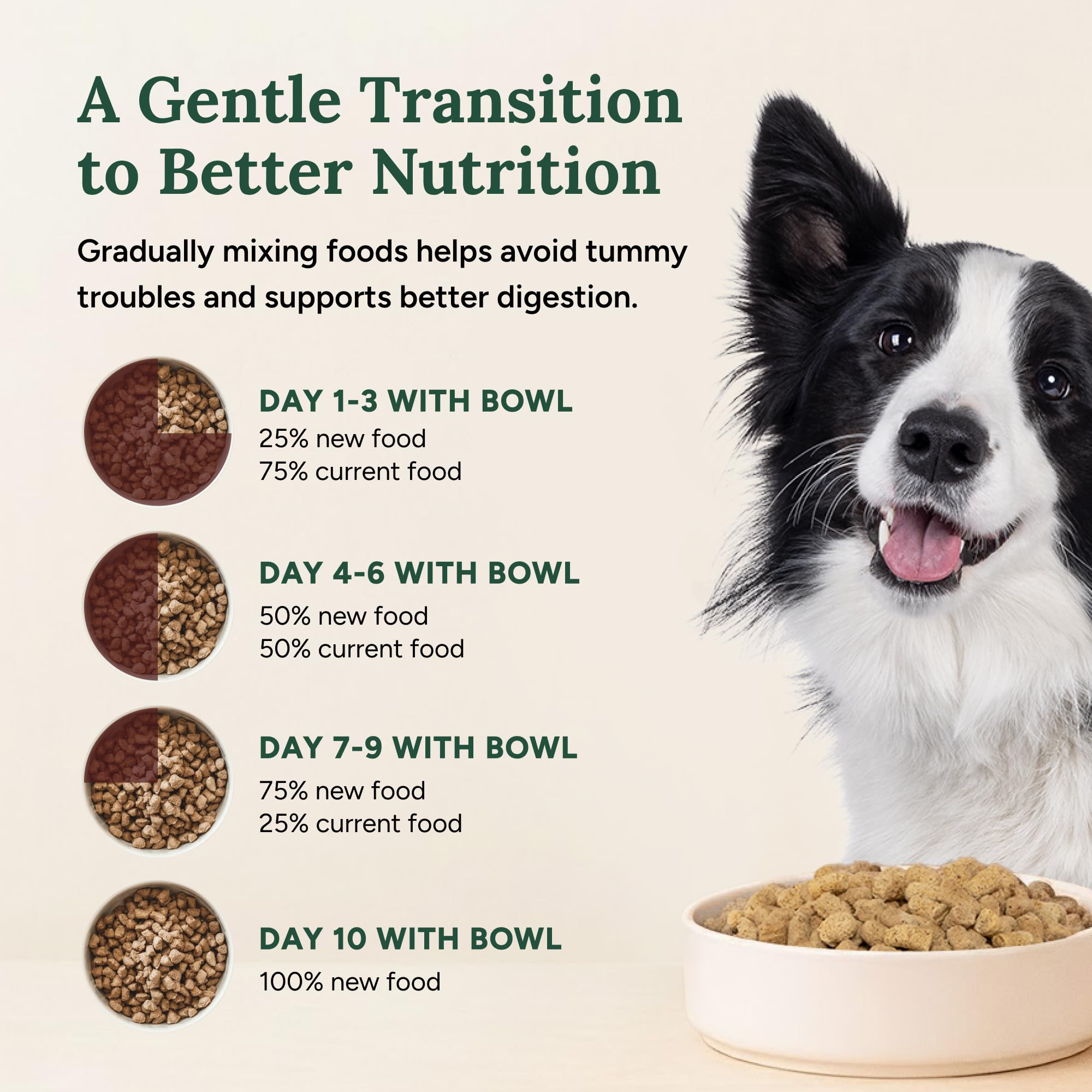 360-pet-nutrition hecho en EE.UU. con control de calidad