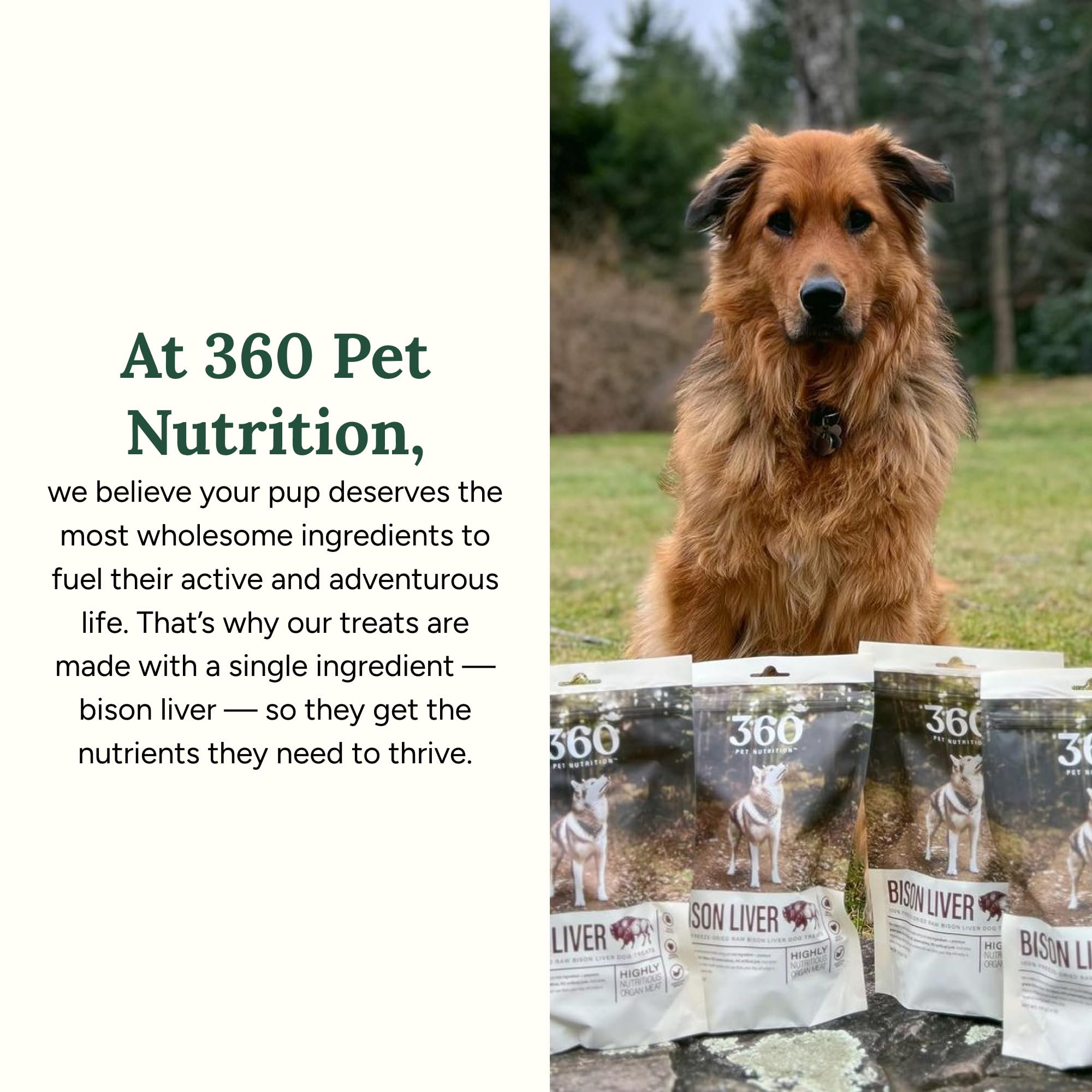 360 Pet Nutrition hígado de bisonte liofilizado, premio proteico para entrenamiento en casa.