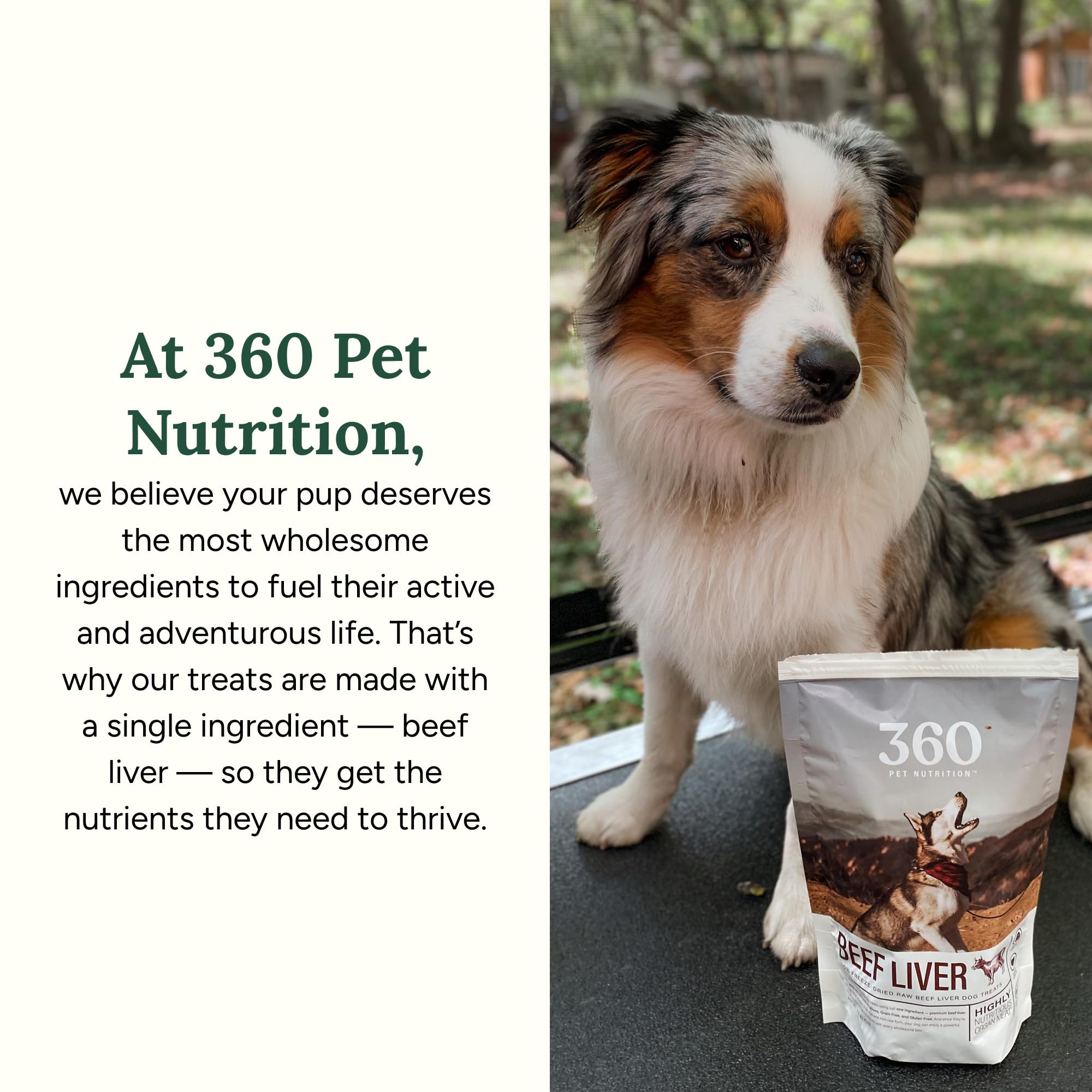 360 Pet Nutrition: sin aditivos, producto puro y sencillo para perros.