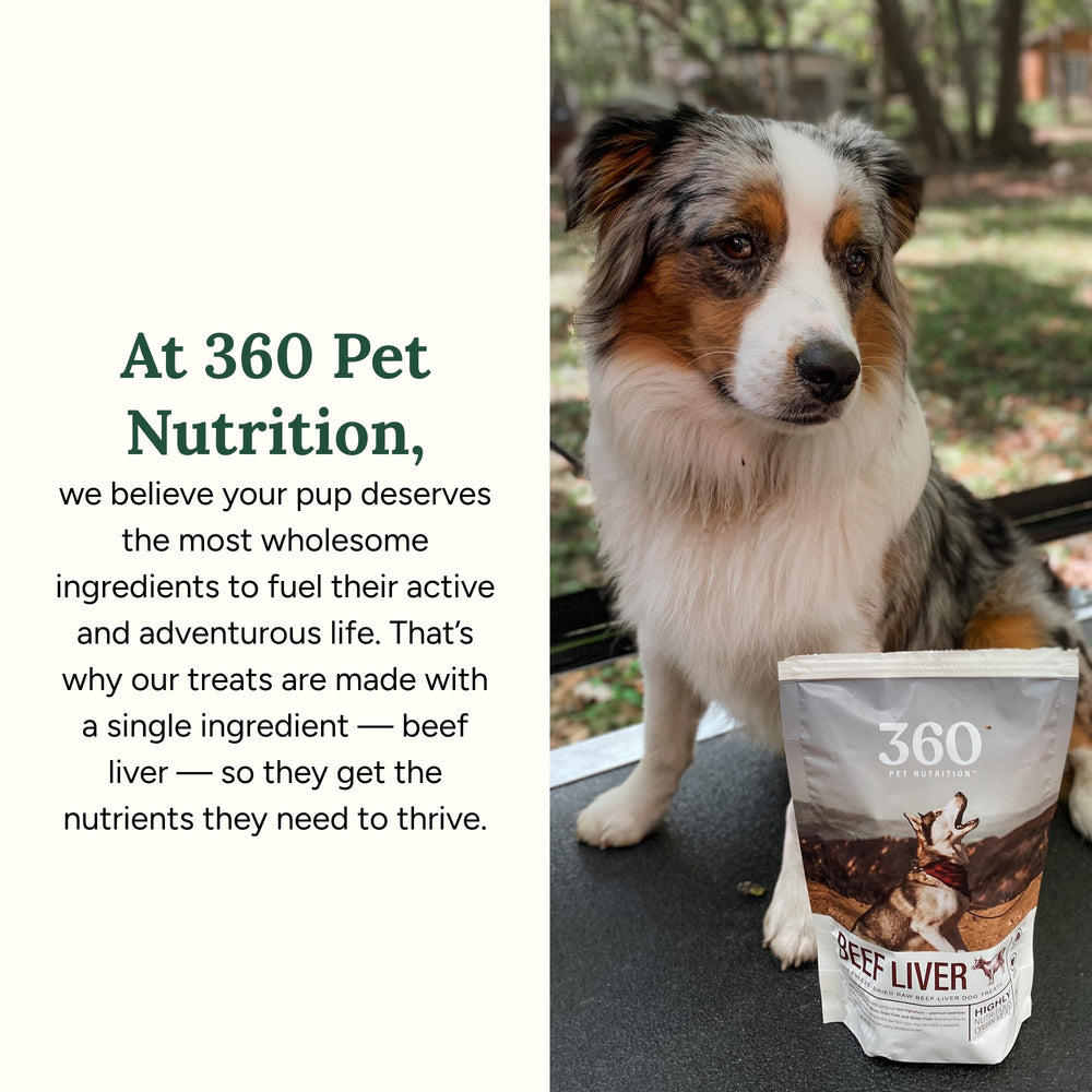 360 Pet Nutrition: sin aditivos, producto puro y sencillo para perros.