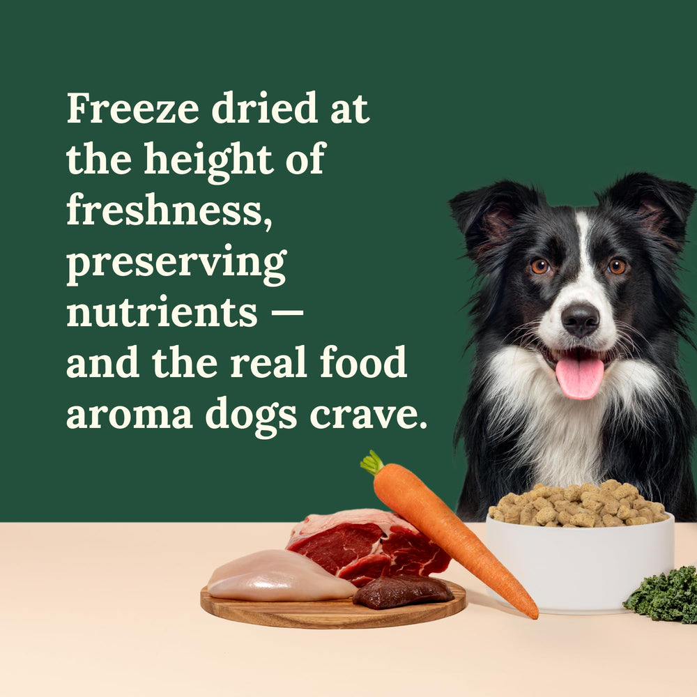 360 Pet Nutrition sin granos para una opción natural