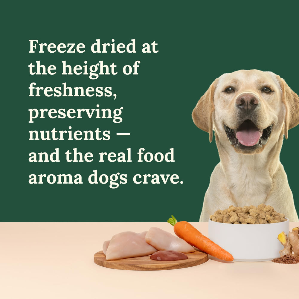 360 Pet Nutrition sin granos para perros con sensibilidad alimentaria.