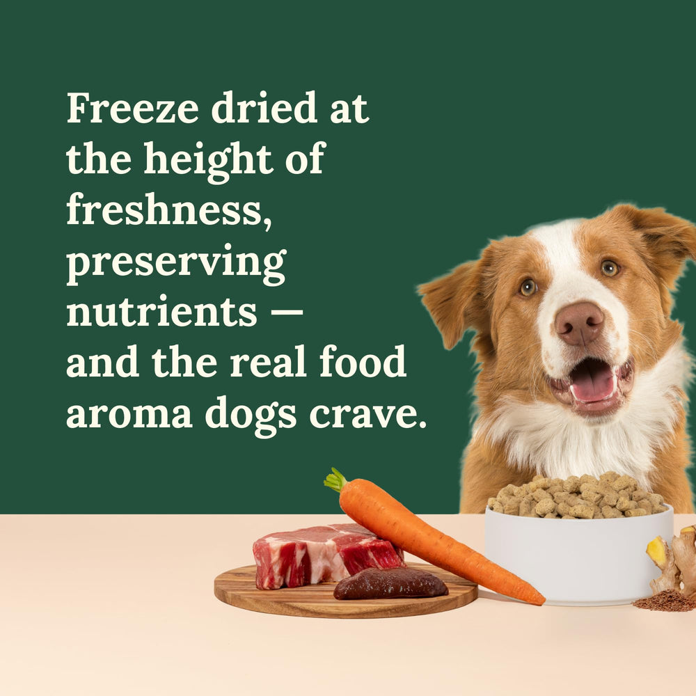 360 Pet Nutrition trozos pequeños, fáciles de servir para perros de todos los tamaños.