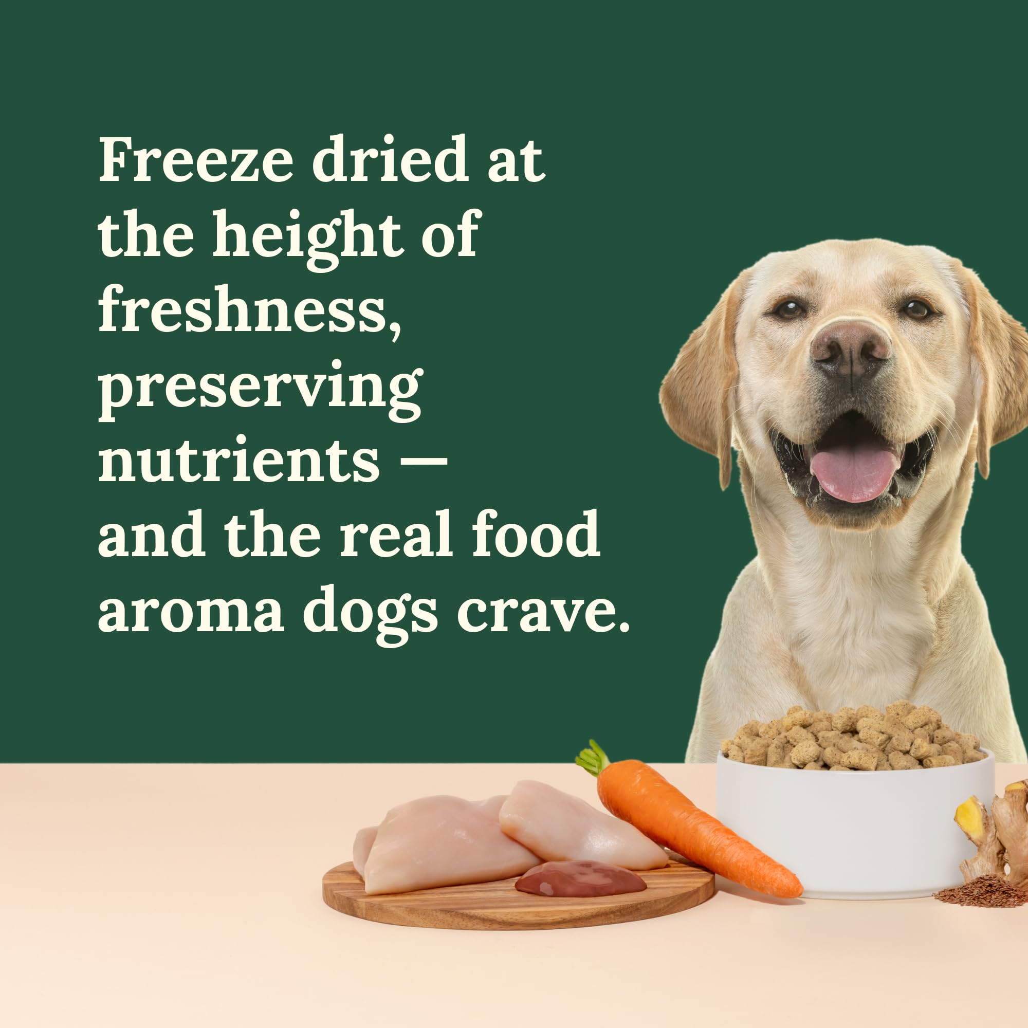 Uso como comida completa o topper, con 360 Pet Nutrition para flexibilidad.
