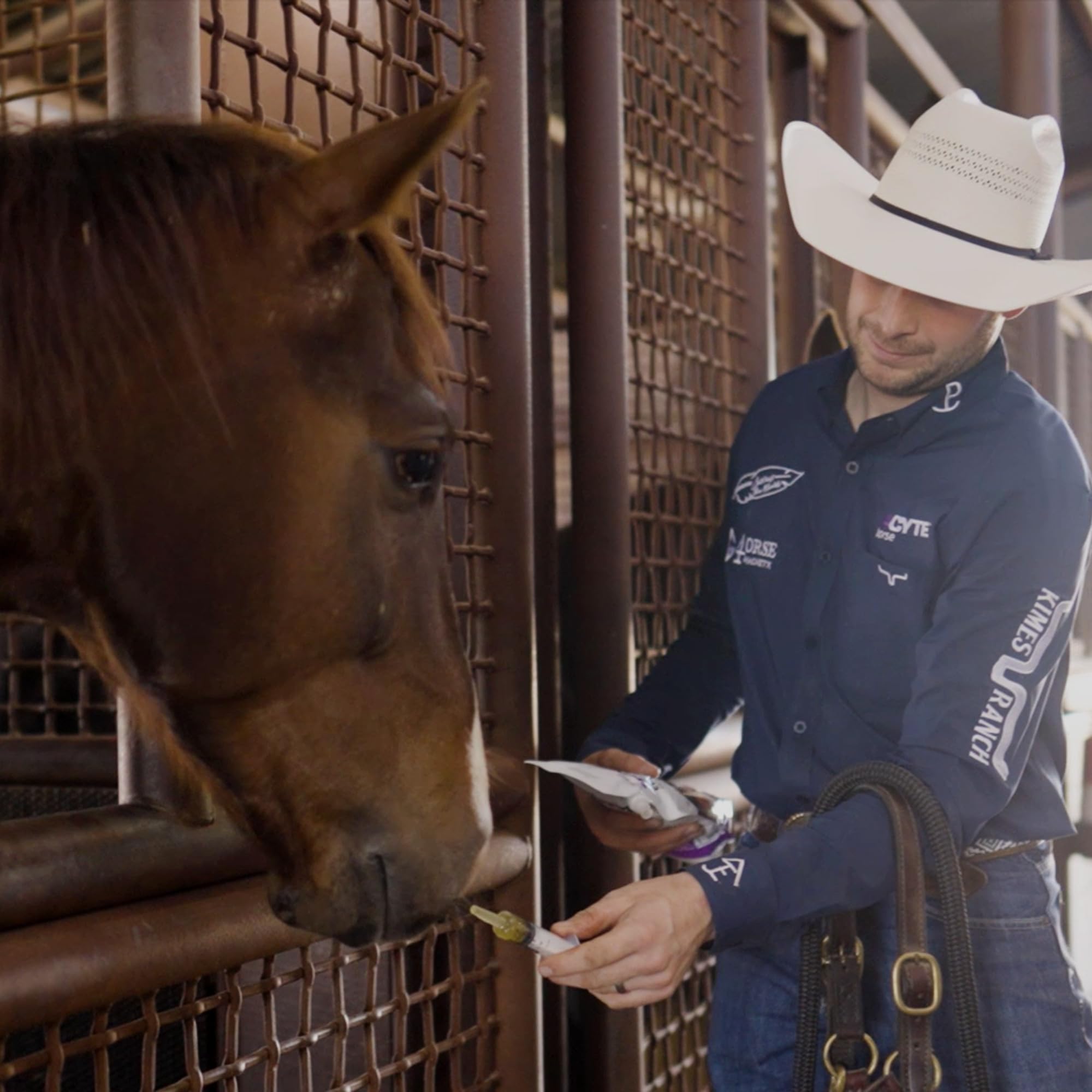 4CYTE Epiitalis Forte: resiliencia articular para caballos activos