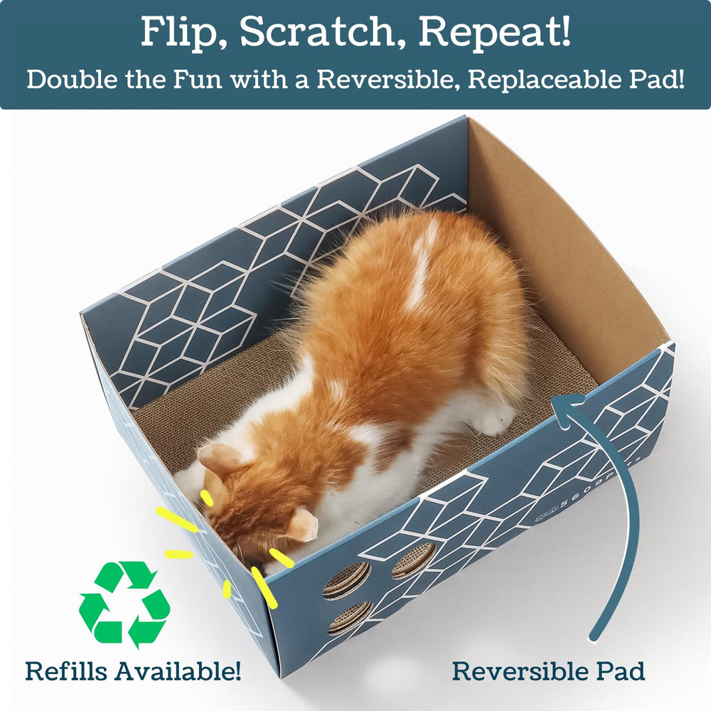 5609PETS rasguño de doble cara, más uso para gatos activos.