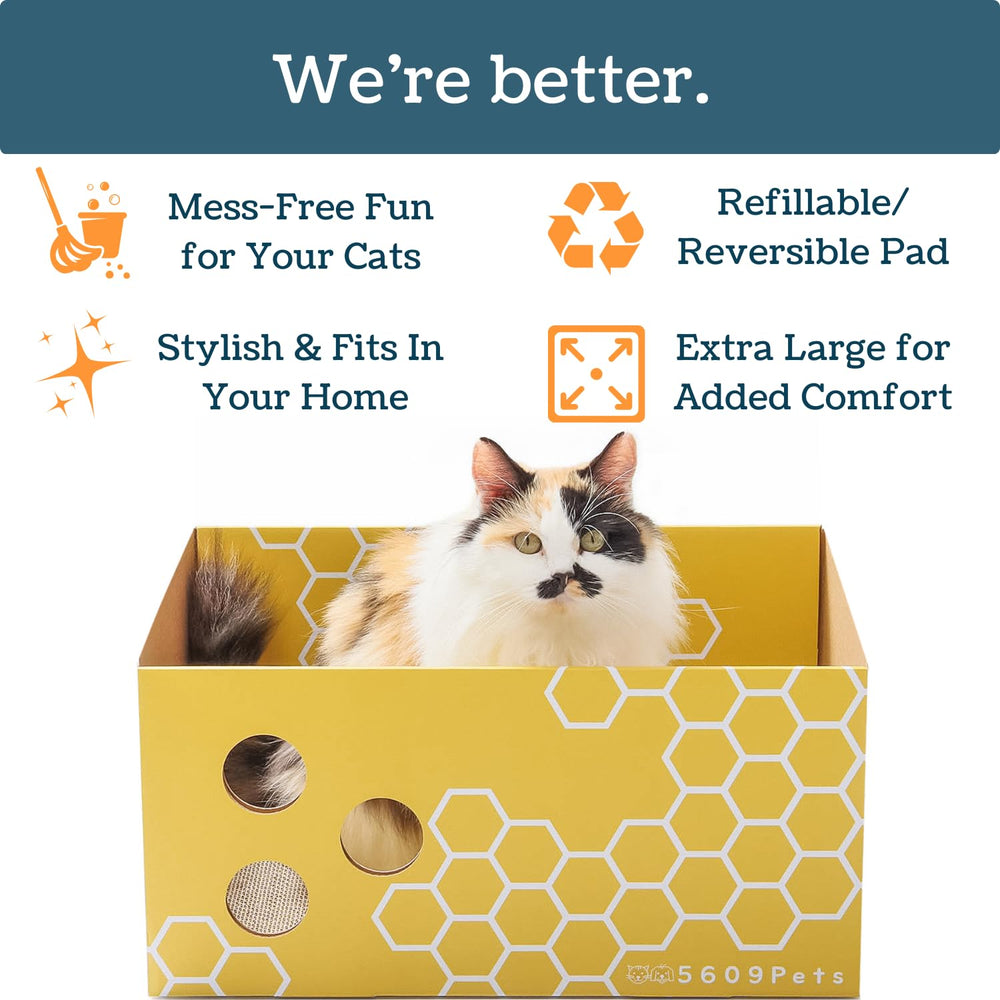 5609PETS Huecos interactivos para juegos con plumas y pelotas