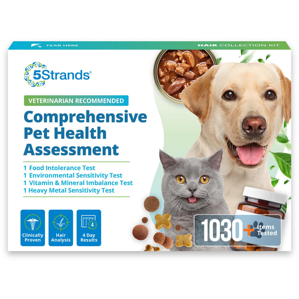 Kit de prueba 5Strands para mascotas para identificar intolerancias desde casa.