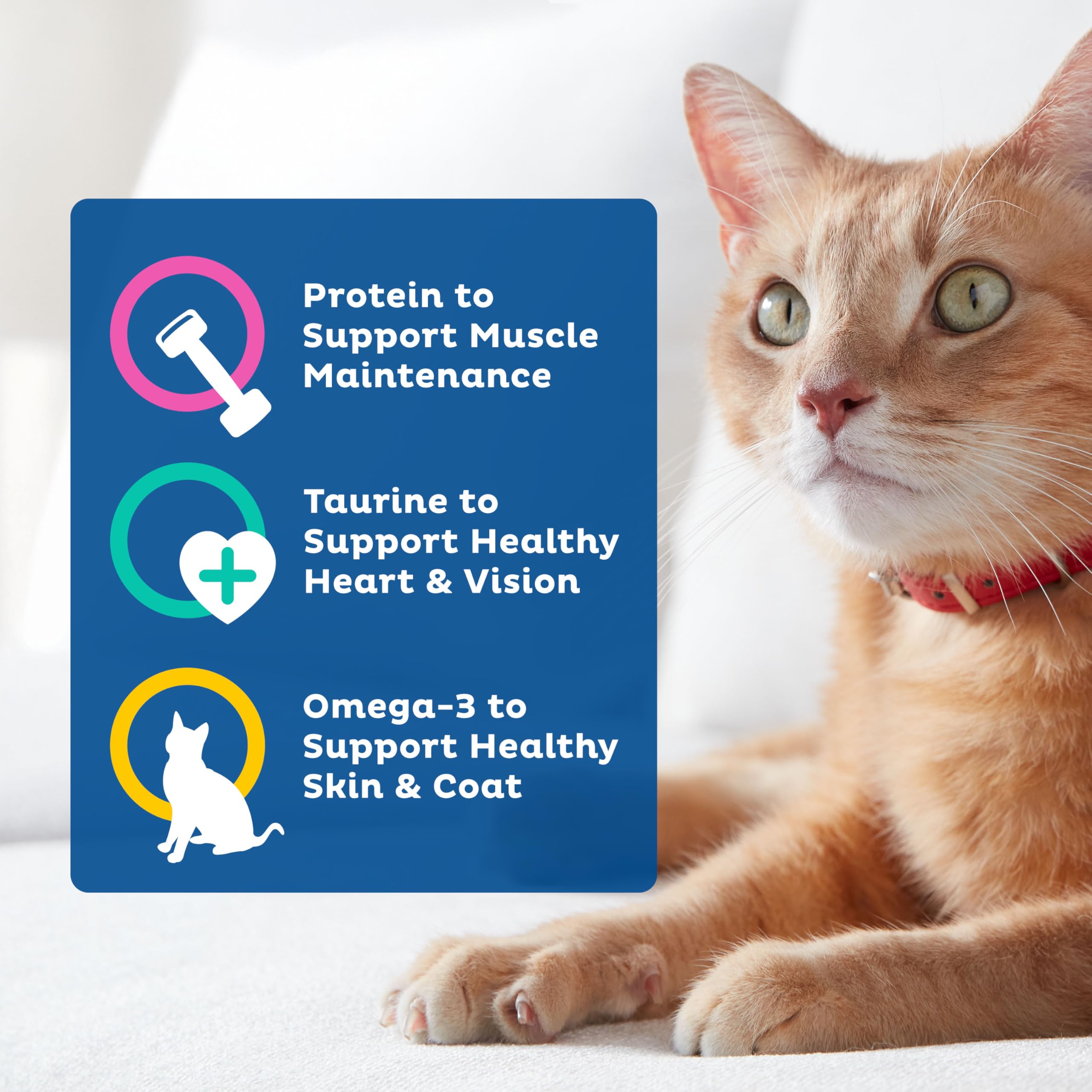 9Lives Esenciales Diarios: pelaje suave y brillo en gatos gracias a la nutrición