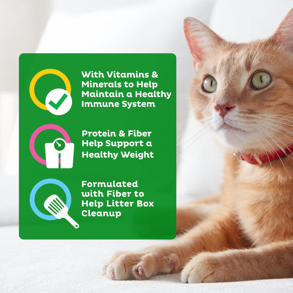 Imagen de 9Lives Indoor Essentials, ingredientes clave, aporte de vitaminas para energía diaria.