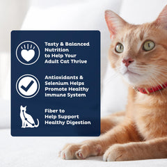 9Lives Plus fibra digestiva para una digestión saludable en gatos.